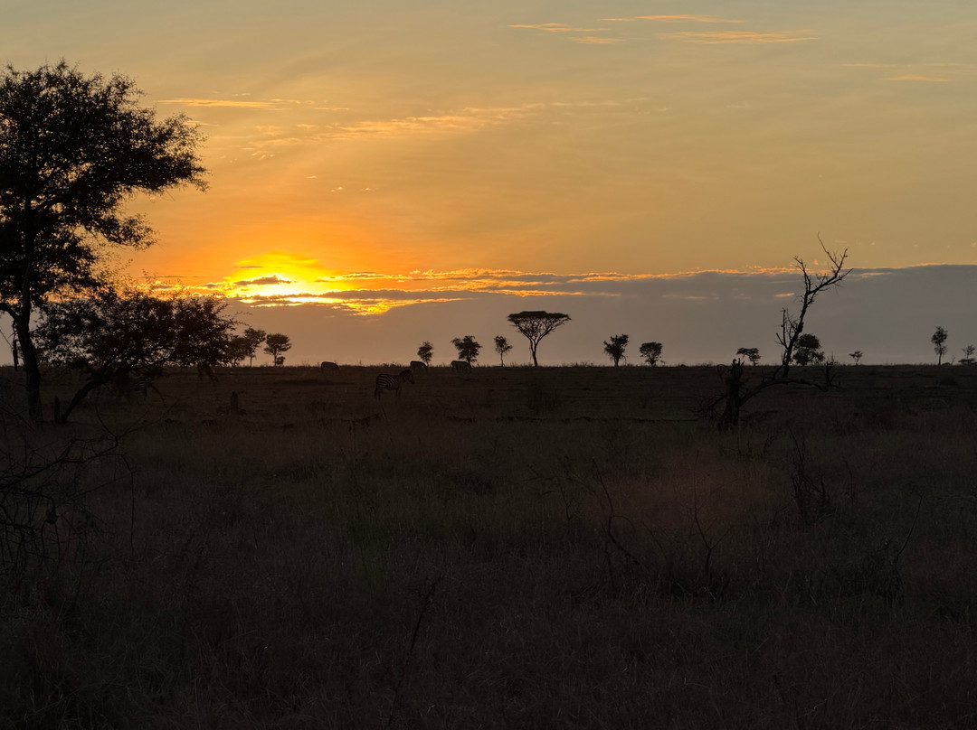 Sidai African Safari Camps & Lodges