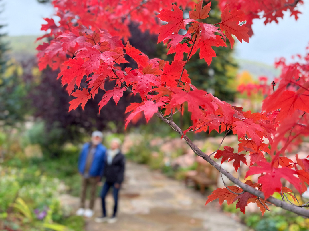 Betty Ford Alpine Gardens-韦尔必去景点