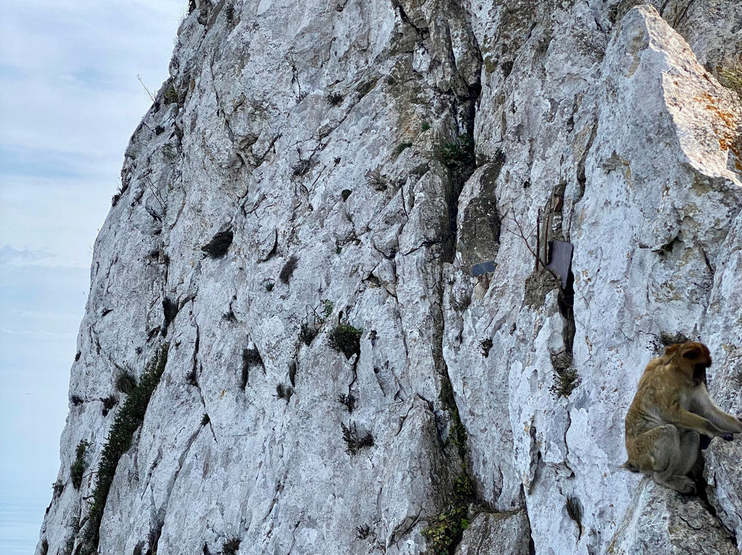 Skywalk-Gibraltar Town必去景点