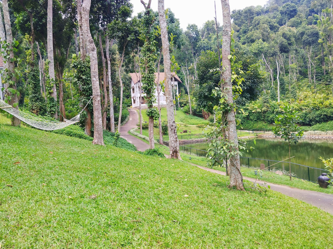 Amaana Plantation Resort主图