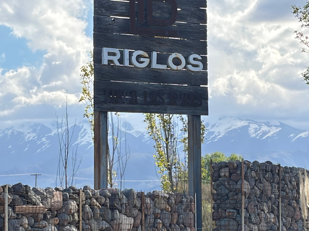 Huarpe Riglos Family Wines-阿格雷洛必去景点