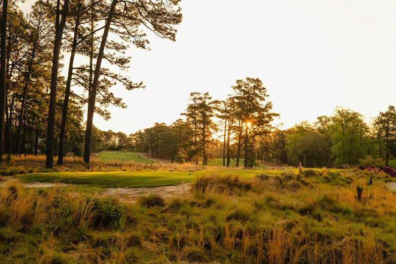 南派恩斯酒店住宿-Pine Needles Lodge and Golf Club