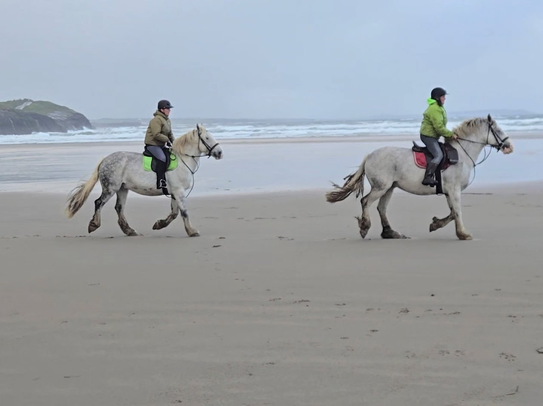 Donegal Equestrian Centre-Bundoran必去景点