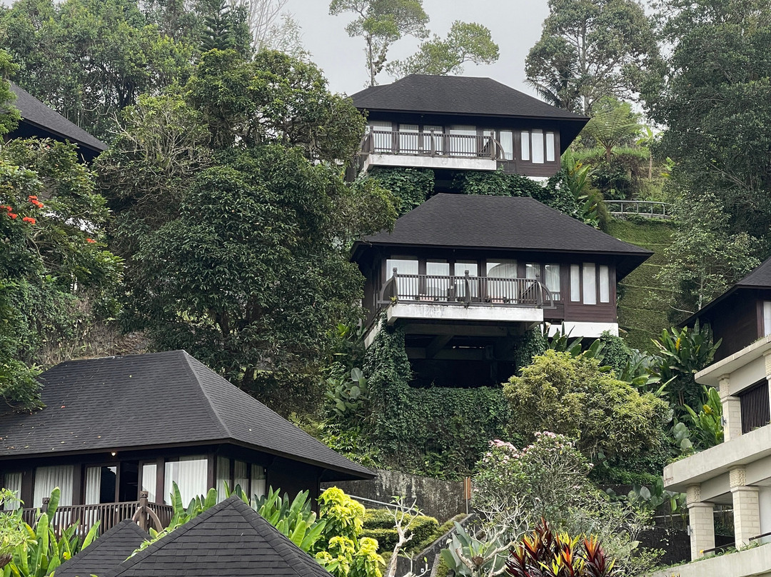 巴厘岛萨拉纳姆巴土利地鸿居酒店主图