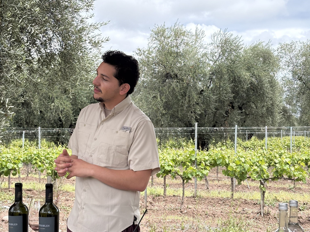 Finca El Paraíso - Bodega Luigi Bosca-Maipu必去景点