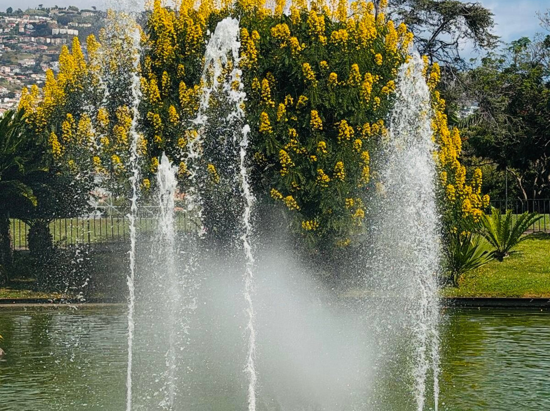 Parque de Santa Catarina-沙尔必去景点