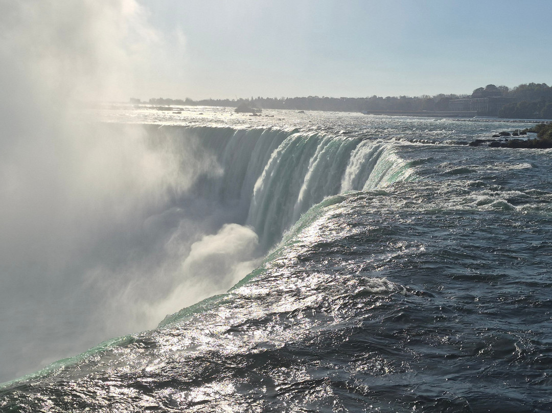 Niagara Takes Flight