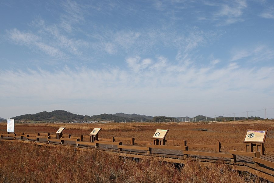 Taepyeong Yeomsaeng Botanical Garden-新安郡必去景点