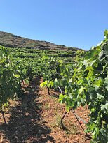 Manalis Winery-Sikinos必去景点