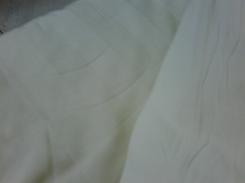 防城港国际迎宾馆-客卧