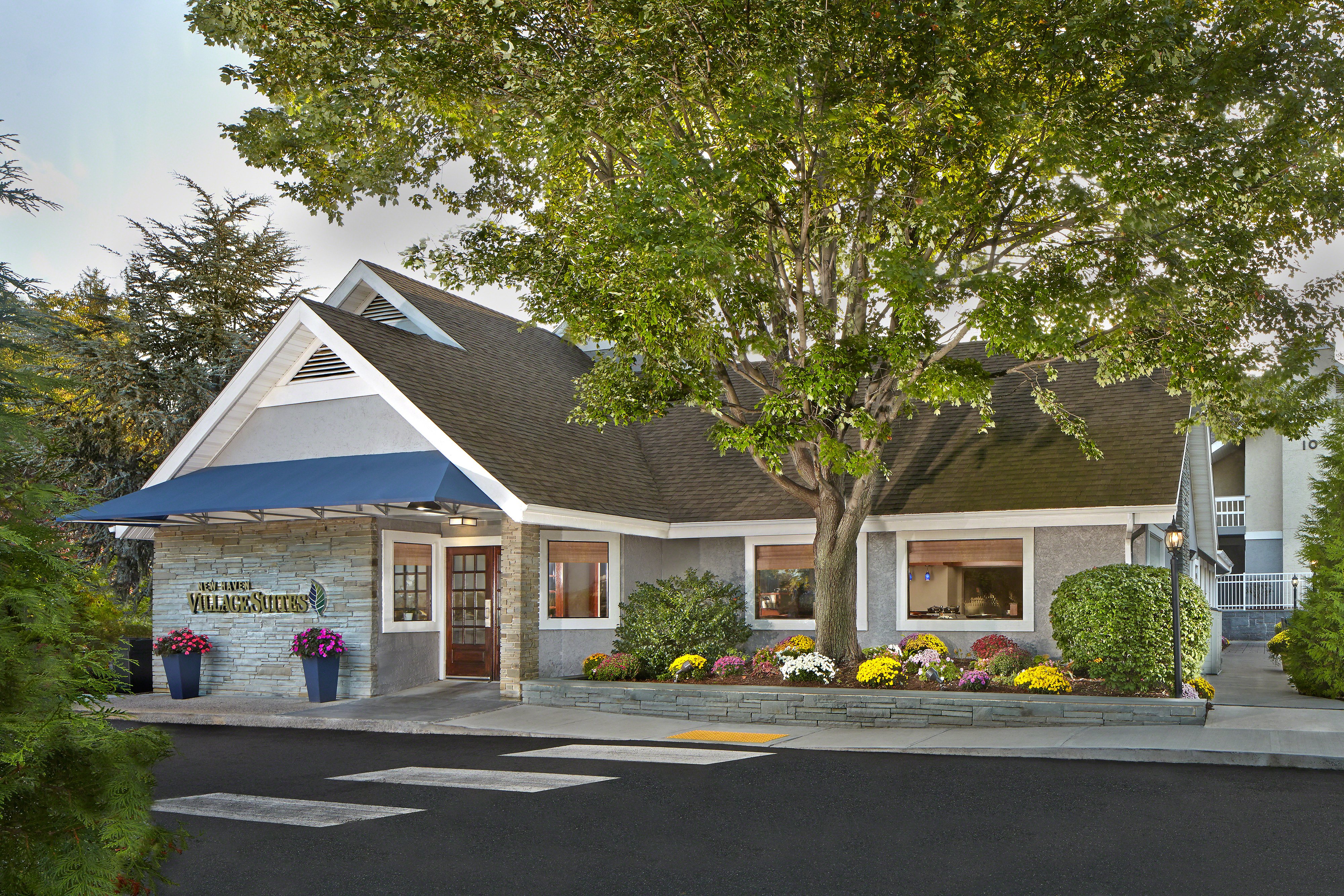 New Haven Village Suites-官方