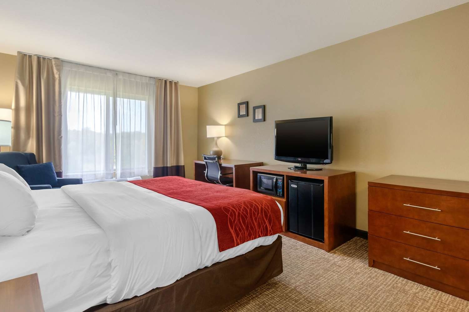 Comfort Inn & Suites-官方