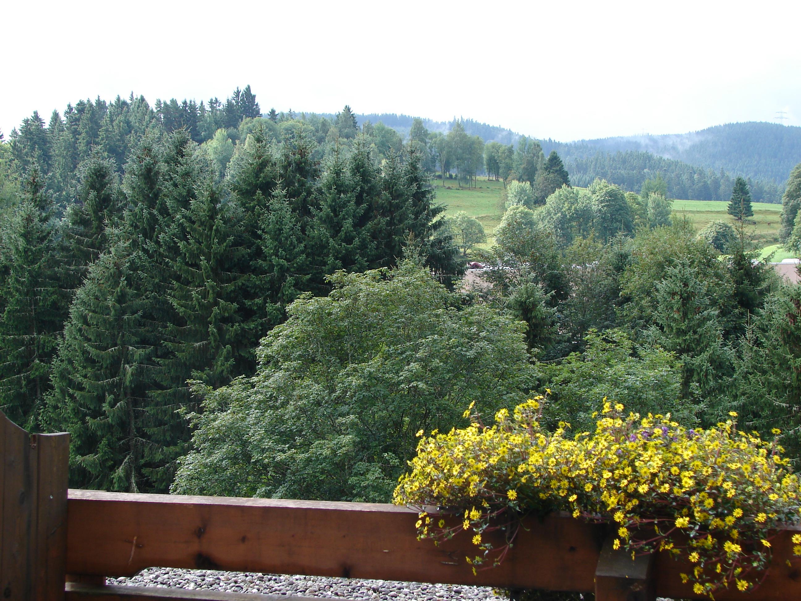 Pension Daheim-浴室