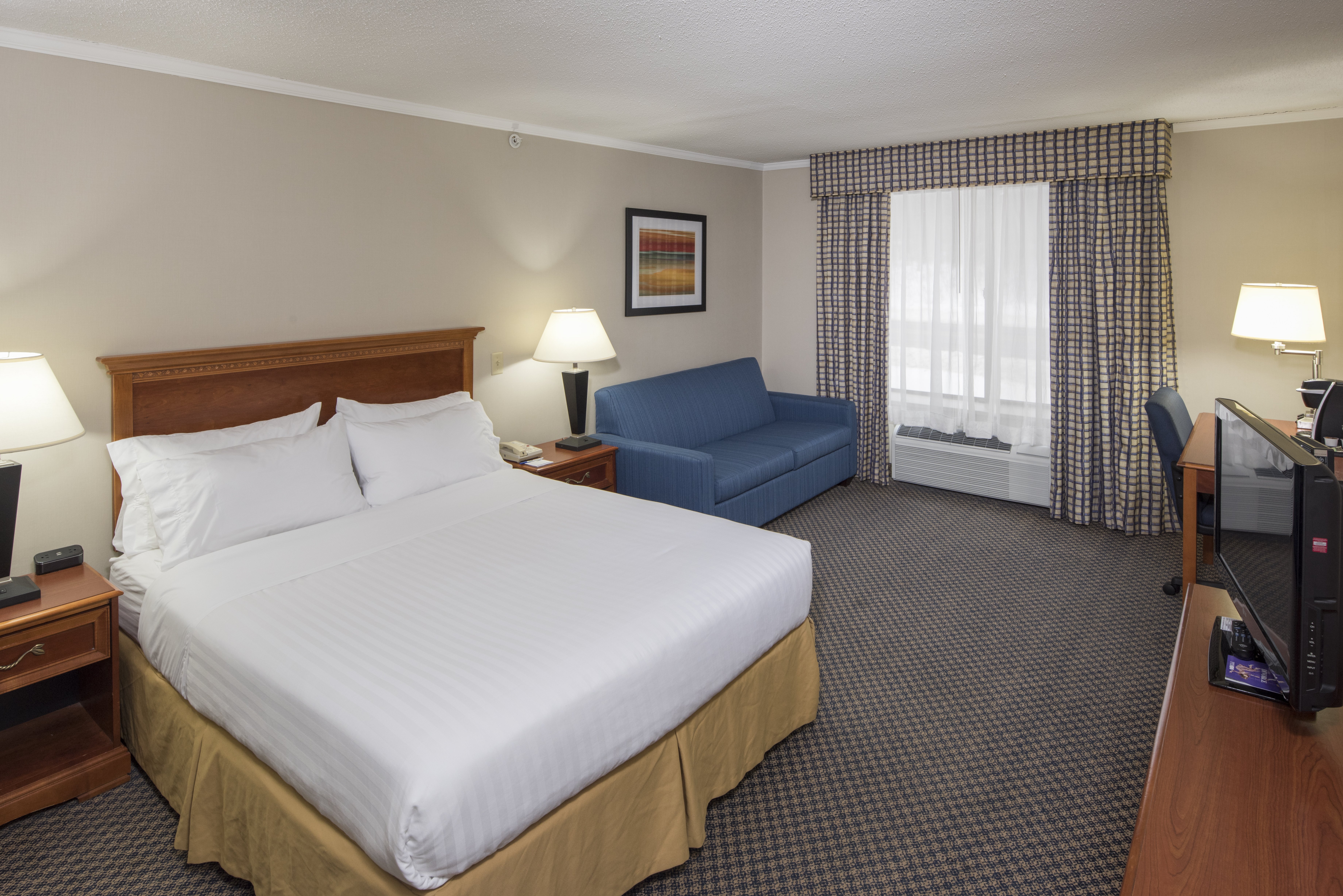 Holiday Inn Express & Suites East Greenbush(Albany-Skyline) by IHG-官方