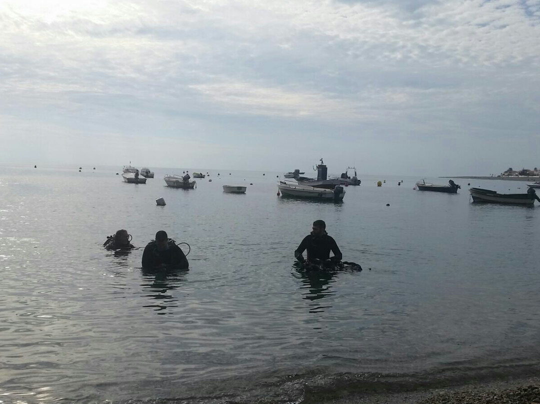 Escuela de Buceo Bubbles Sea-Torrenueva必去景点