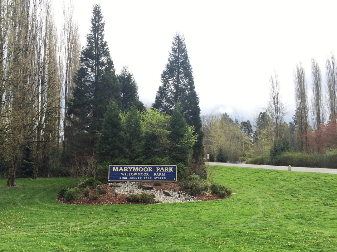 雷德蒙德旅游景点-Marymoor Park