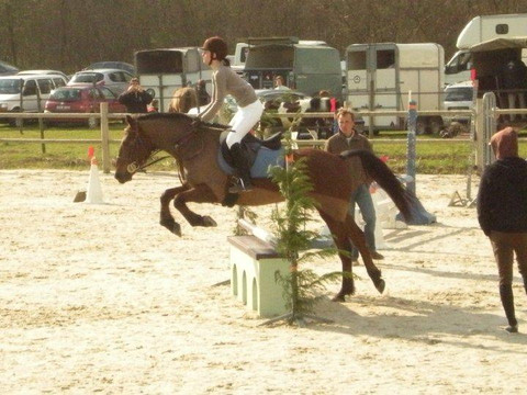 Centre équestre les Ecuries du Marais