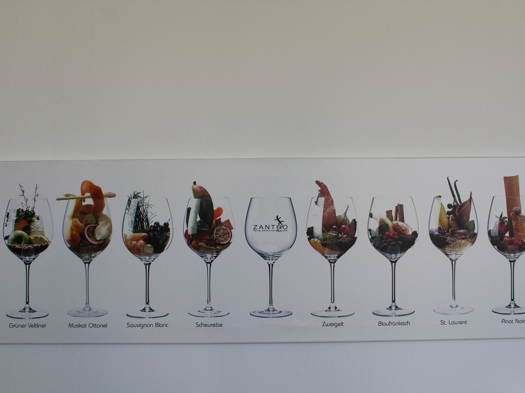 Weingut Zantho景点图片