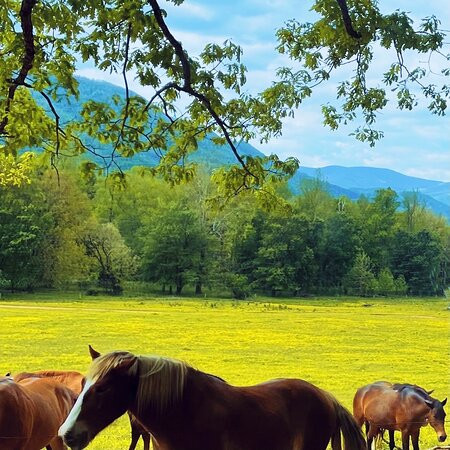 Hike It Florida-University Park必去景点