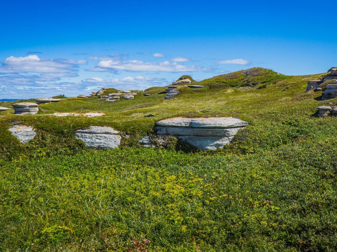 Île Nue De Mingan-Longue-Pointe-de-Mingan必去景点