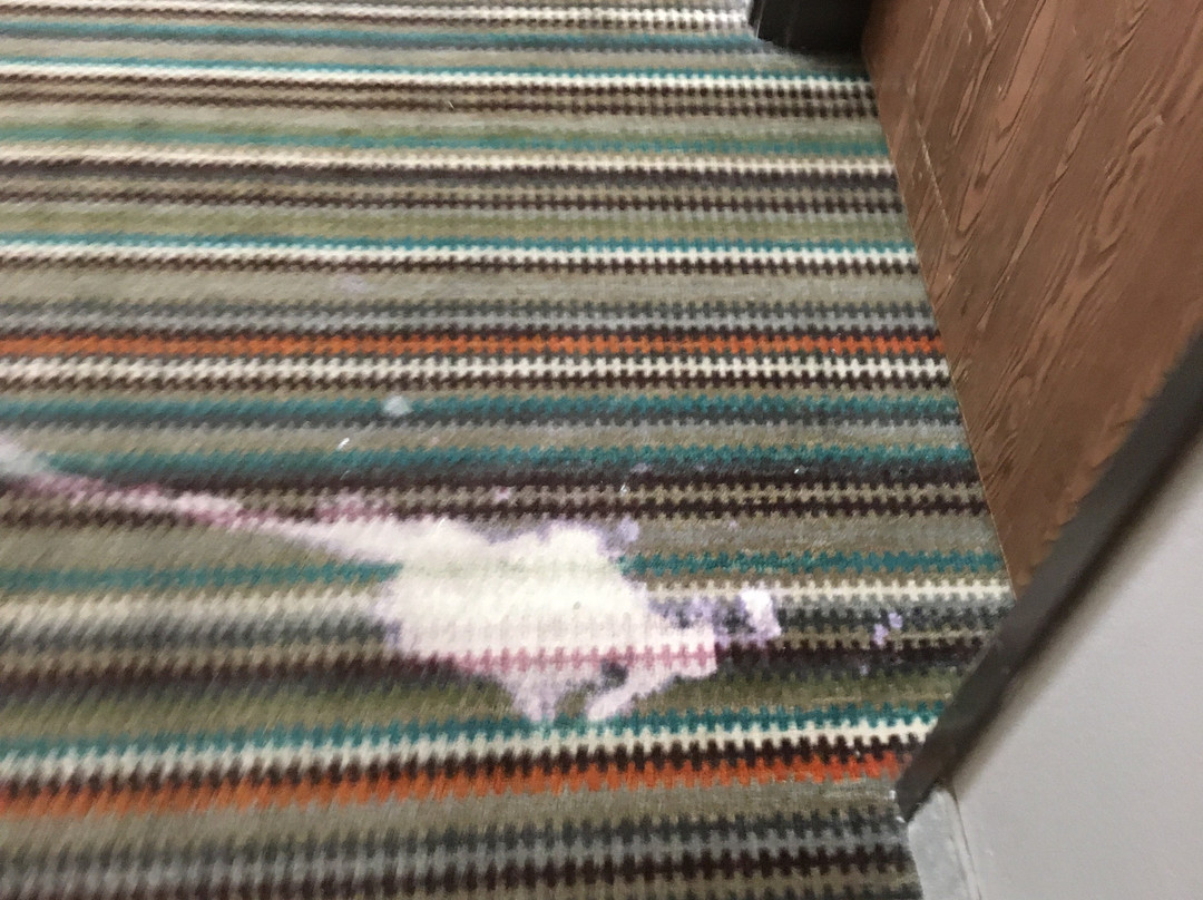 门罗维尔快捷假日酒店