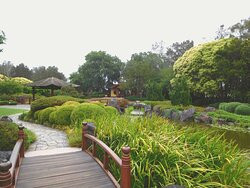 Gosford Regional Gallery景点图片
