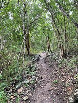 Lind Point Trail-克鲁兹湾必去景点