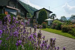 艾夫塔娜住宿加早餐旅馆主图