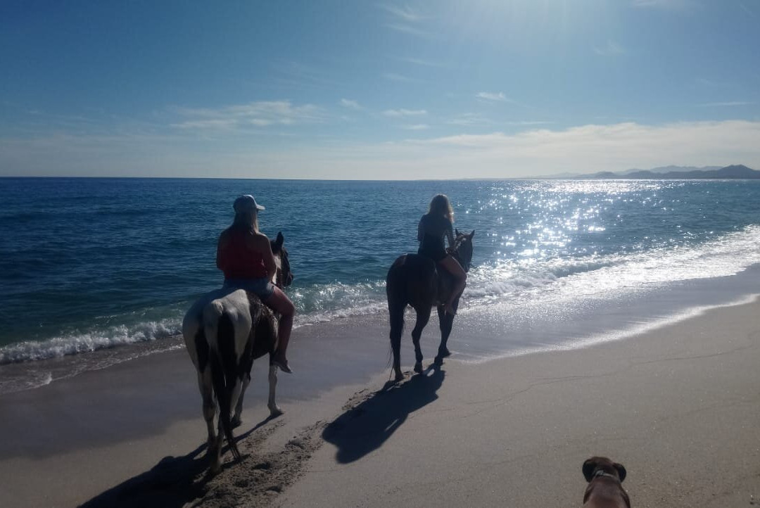 Baja's Awesome Beach Rides-Los Barriles必去景点