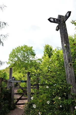 Llanymynech Rocks Nature Reserve-Llanymynech必去景点