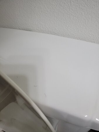 Quality Inn Jacksonville Near Camp Lejeune主图