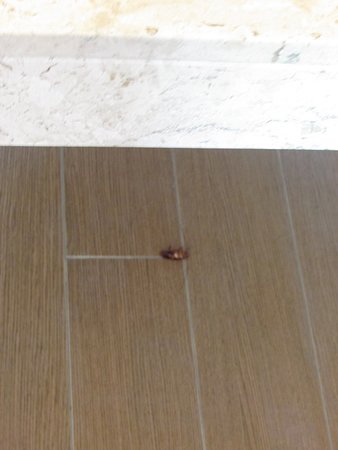 保罗精品酒店-家庭/游戏区