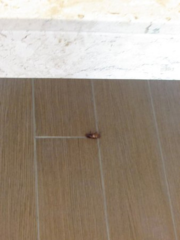 保罗精品酒店主图