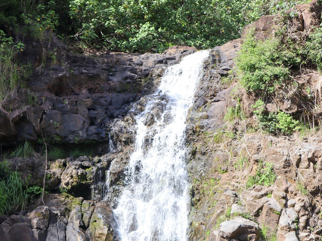 Waimea Botanical Gardens, Oahu-哈雷瓦必去景点
