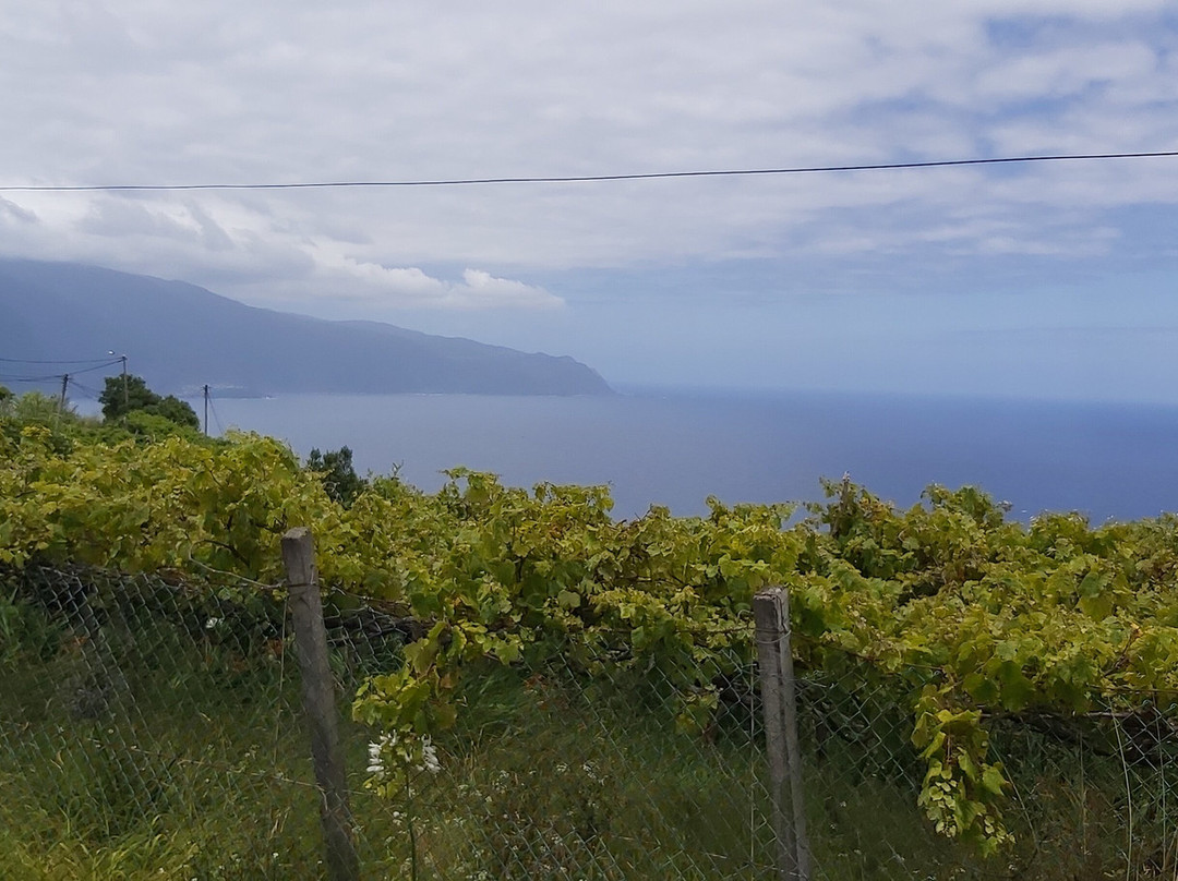 Miradoura Boaventura-Boaventura必去景点