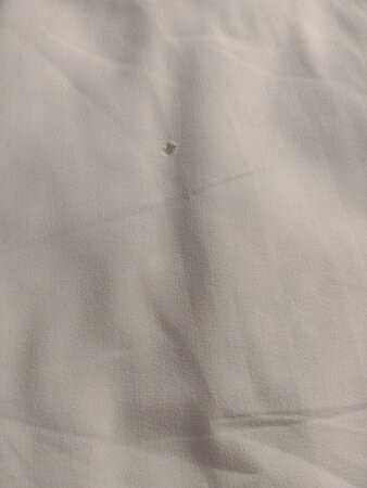 Sheraton Vitoria Hotel主图