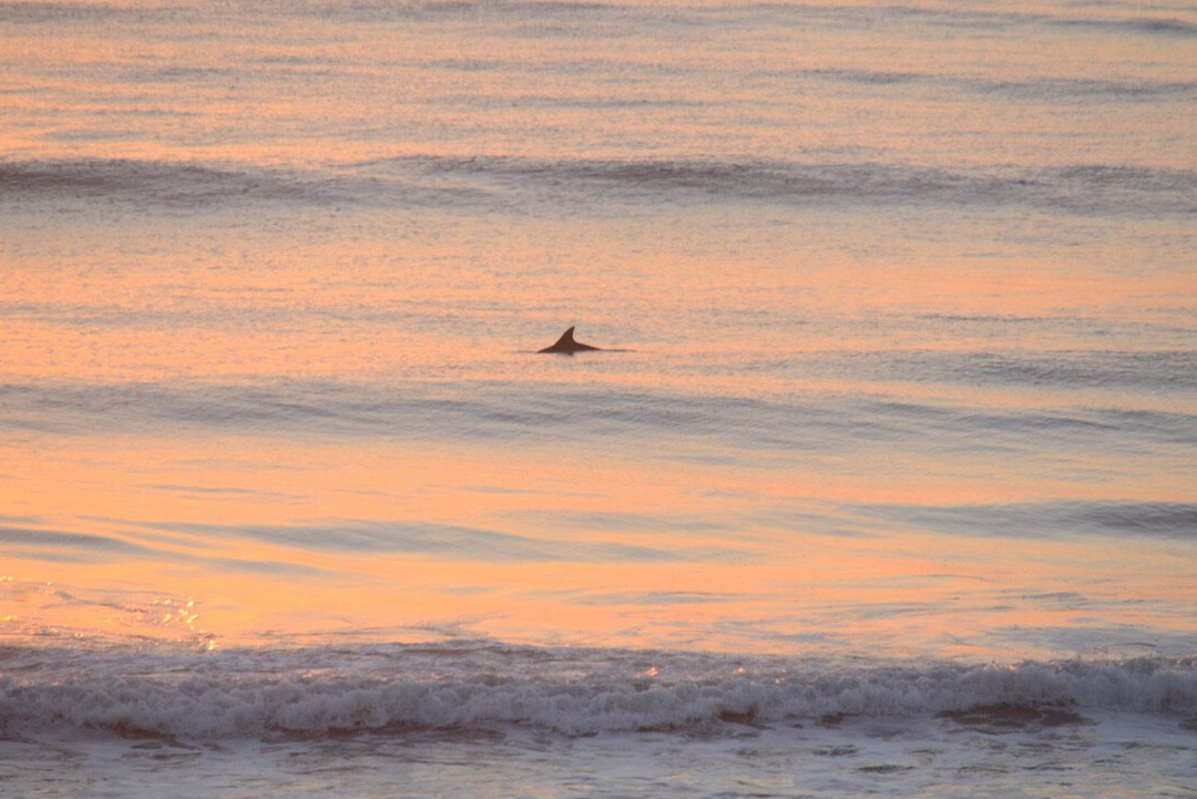 El Caribe Resort & Conference Center主图