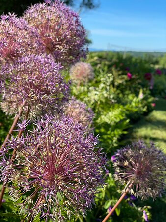 Highland Lodge主图