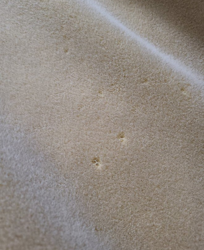 Travelodge by Wyndham Newport主图