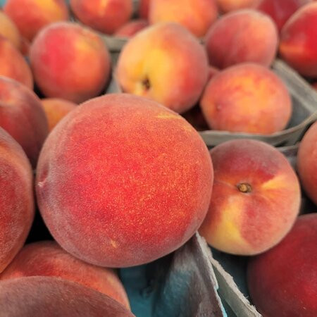 La Plata Farmers Market-La Plata必去景点