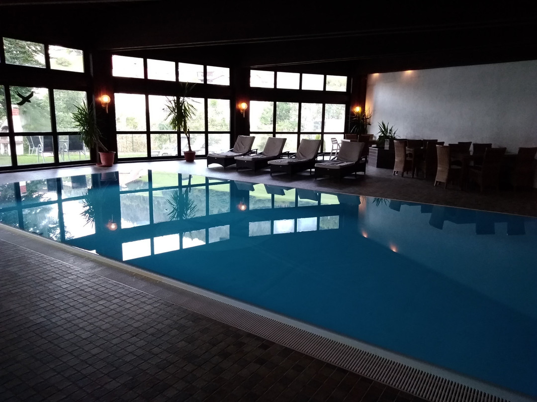 Hotel Wilder Mann主图