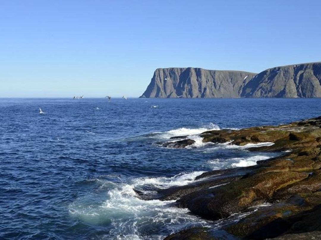 Nordkapp Municipality旅游攻略图片