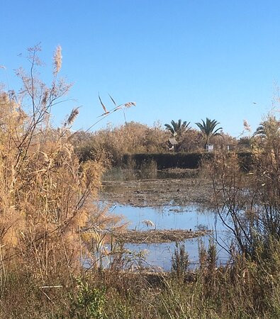 Parque Natural el Hondo-Crevillente必去景点