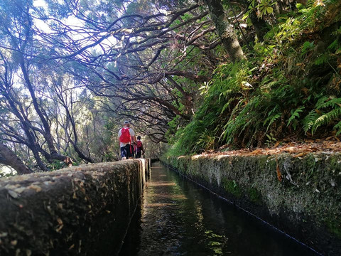 Ilha Tours-沙尔必去景点