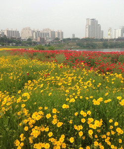Taehwagang National Garden景点门票图片
