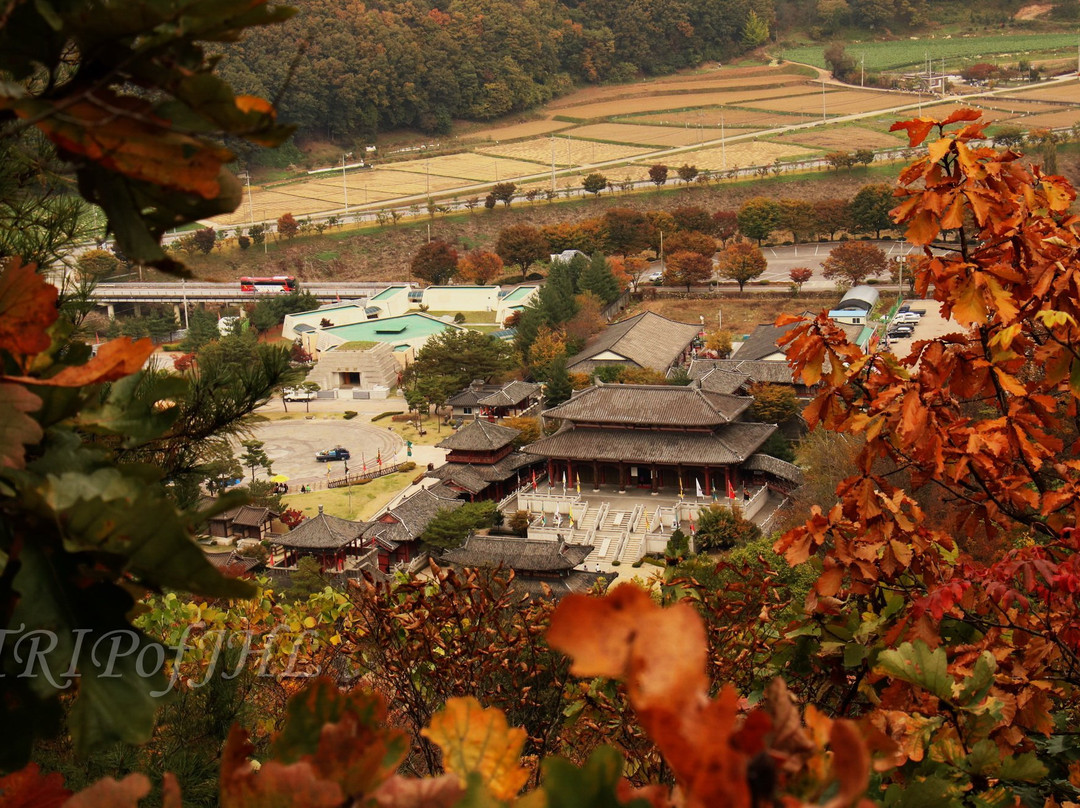 Ondal Gwangwangji景点图片