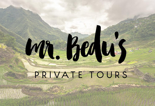 Mr. Bedu's Tours-乌布必去景点