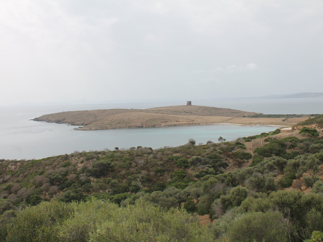 Torre Di Trabuccato景点图片