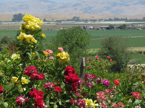 San Juan Bautista旅游攻略图片