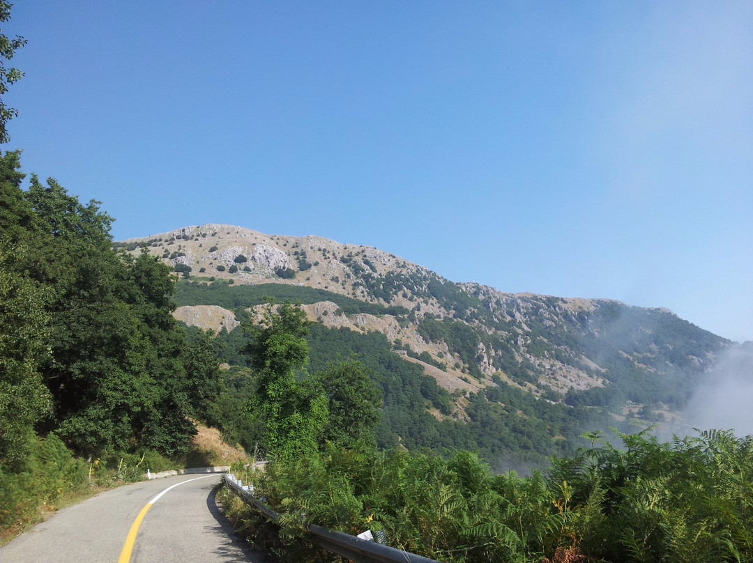 Mendicino旅游攻略图片